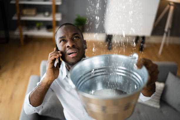 Best Local water damage restoration  in Forsyth, MO
