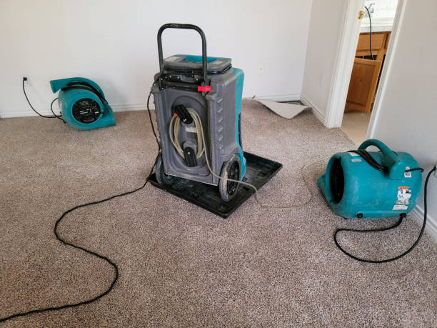 Best Commercial water damage restoration  in Forsyth, MO