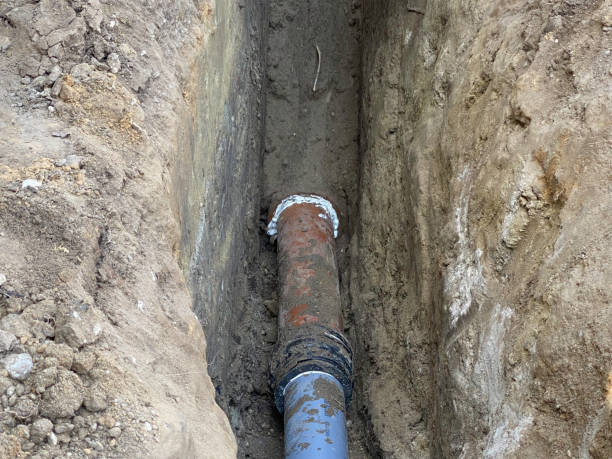 Best Flood restoration services  in Forsyth, MO