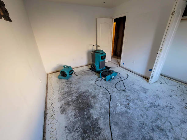 Forsyth, MO Water damage restoration Pros