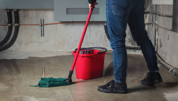 Best Flood damage cleanup  in Forsyth, MO