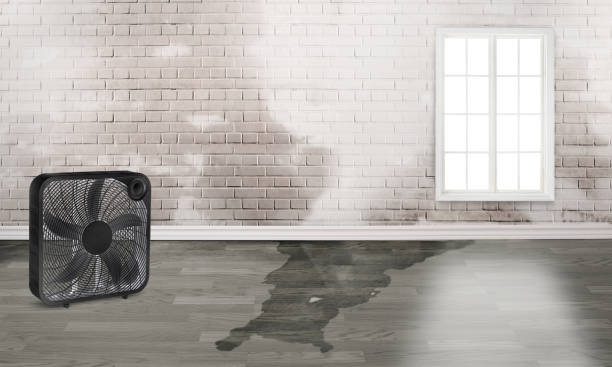 Best 24-hour water damage restoration  in Forsyth, MO