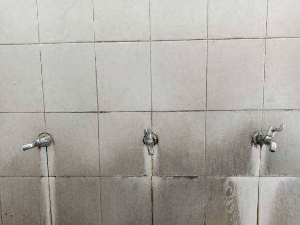 Best Mold removal after water damage  in Forsyth, MO