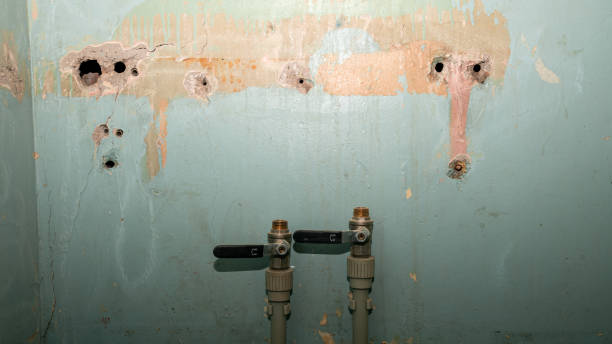 Best Residential water damage restoration  in Forsyth, MO