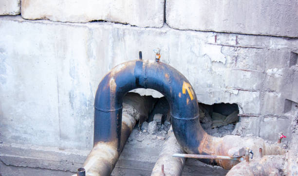 Best Basement water damage restoration  in Forsyth, MO